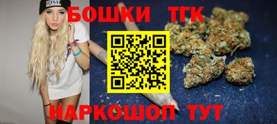 индика Тверь