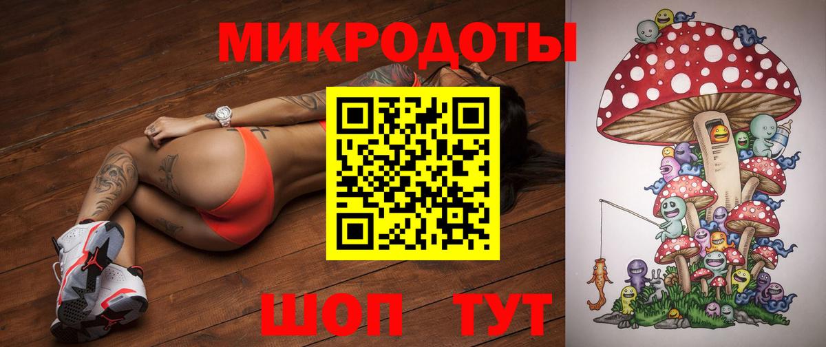Псилоцибиновые грибы Cubensis Павловский Посад